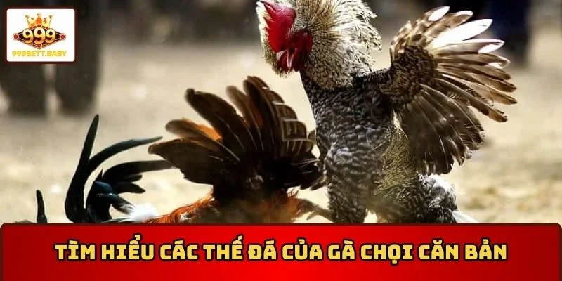 Các thế đá của gà chọi