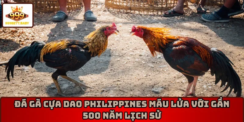 Đá gà cựa dao Philippines