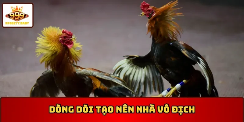 Dòng dõi nổi tiếng trong đá gà cựa dao Philippines