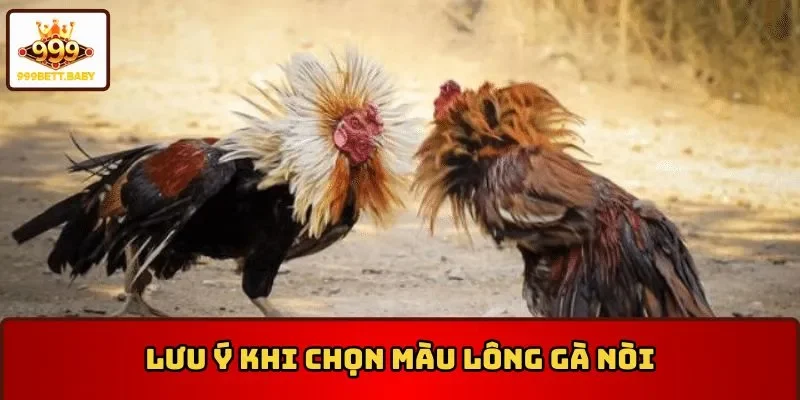 Lưu ý khi chọn màu lông gà nòi