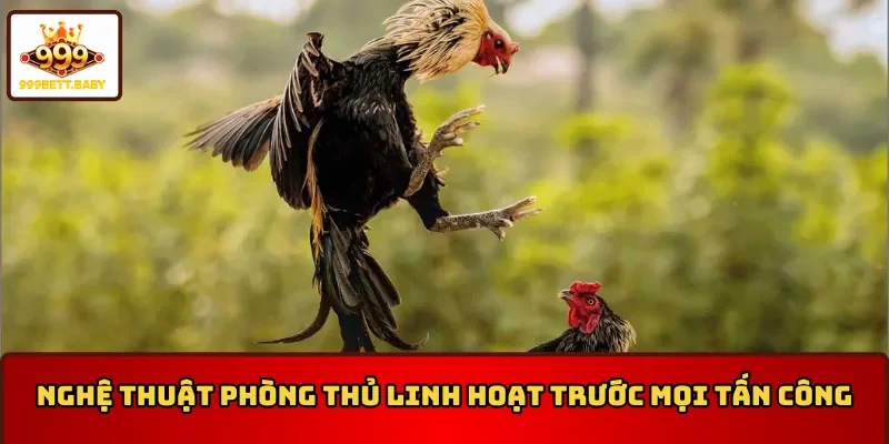 Nghệ thuật phòng thủ cho những vị trí tử điểm của gà nòi