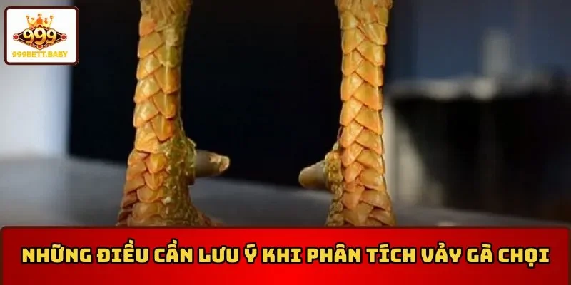 Những điều cần lưu ý trong cách lựa vảy gà chọi