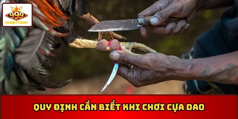 Quy định cần biết khi chơi đá gà cựa dao Philippines