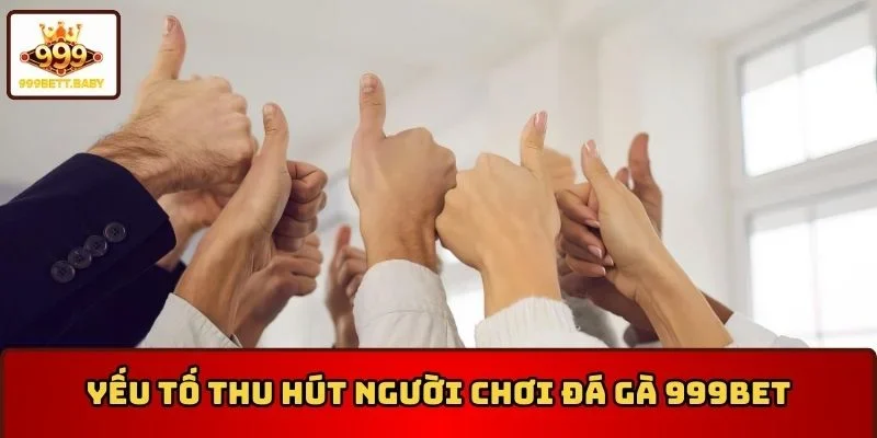 Yếu tố thu hút người chơi tham gia đá gà 999BET